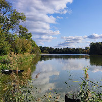 Rezerwat przyrody Stawy Raszyńskie